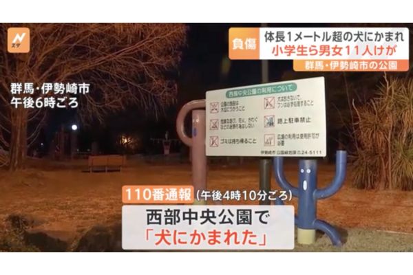 伊勢崎市の公園で犬に噛まれ12人がけがをする事件が発生