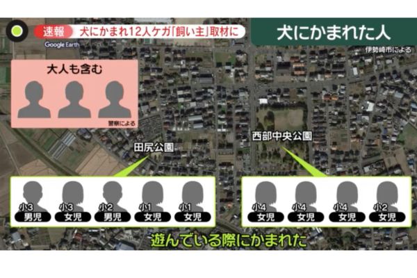 伊勢崎市田中島町の公園付近にいた7歳から60代までの男女12人が犬に噛まれ怪我